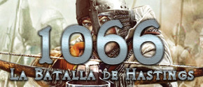 d300-1066