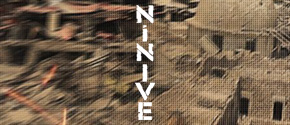 Ninive-D300-home